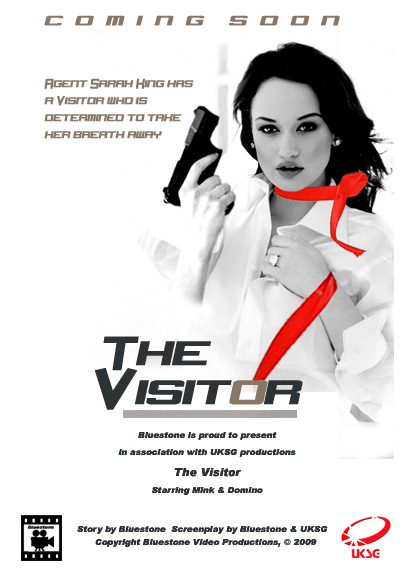 The vistor poster.jpg