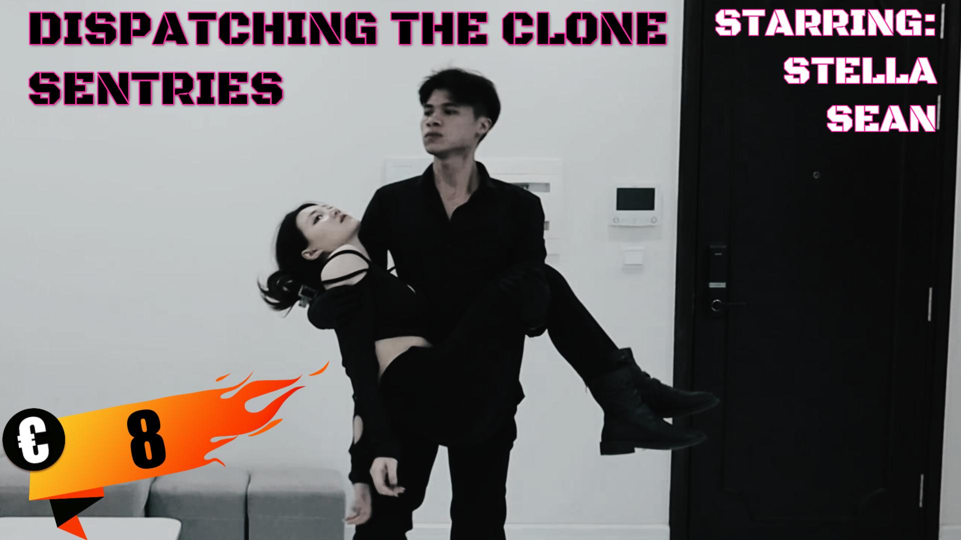 DISPATCHING THE CLONE SENTRIES.JPG
