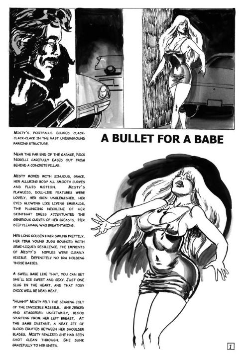 Bullet_Misty.JPG