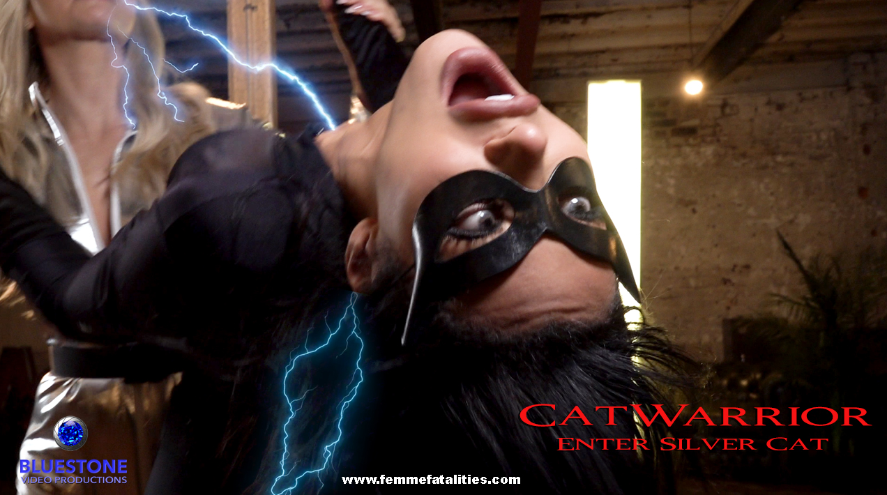 Catwarrior 15 - Enter Silver Cat 17 copy.jpg