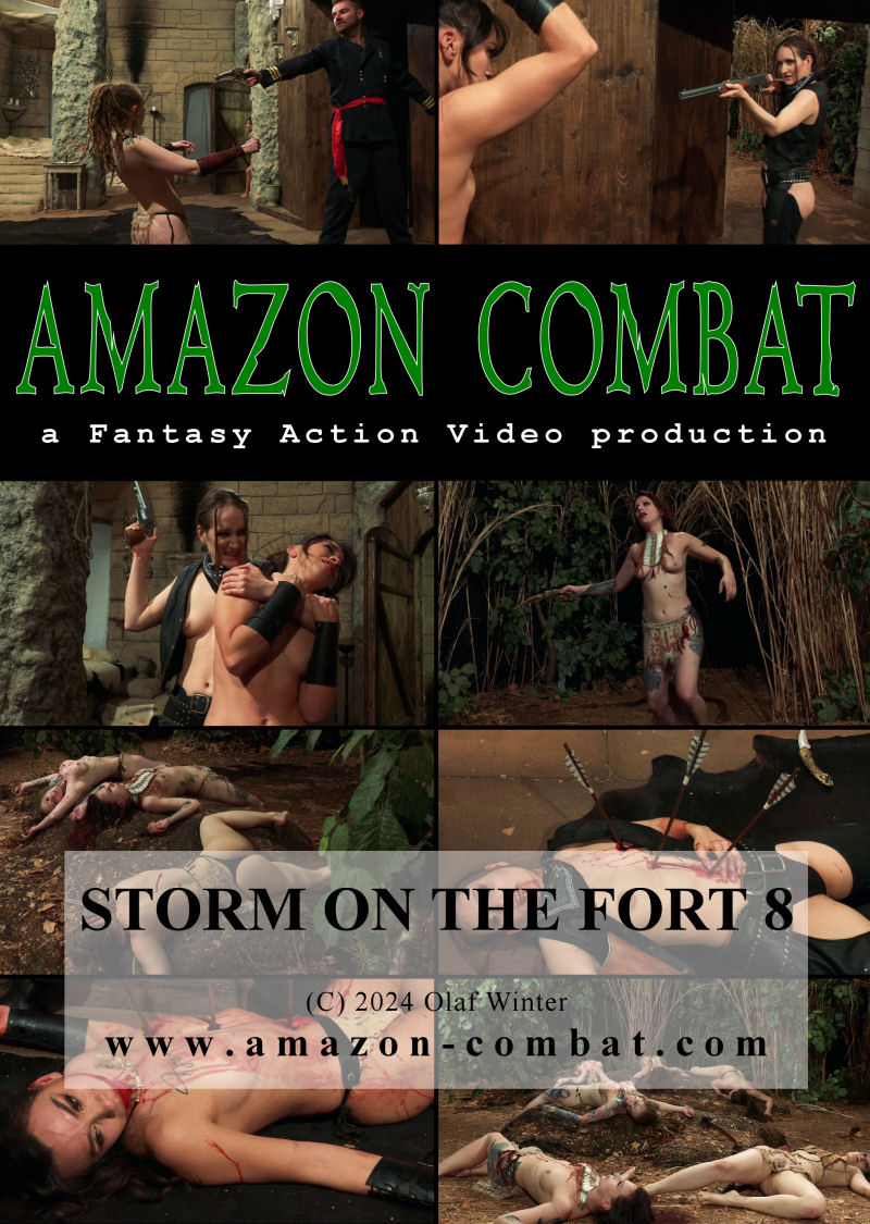 previev_storm_on_the_fort_8.jpg