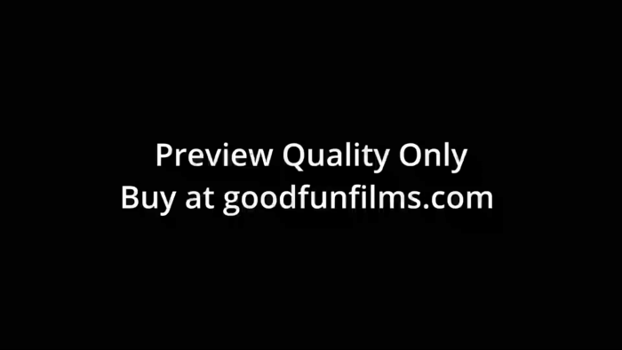 Paris The Gunslinger Returns Preview.gif