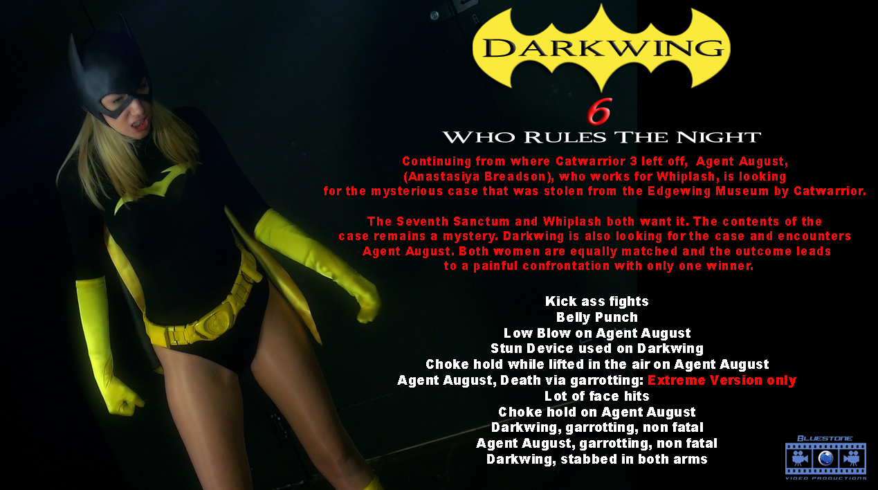Darkwing 6- who rules the night poster.jpg