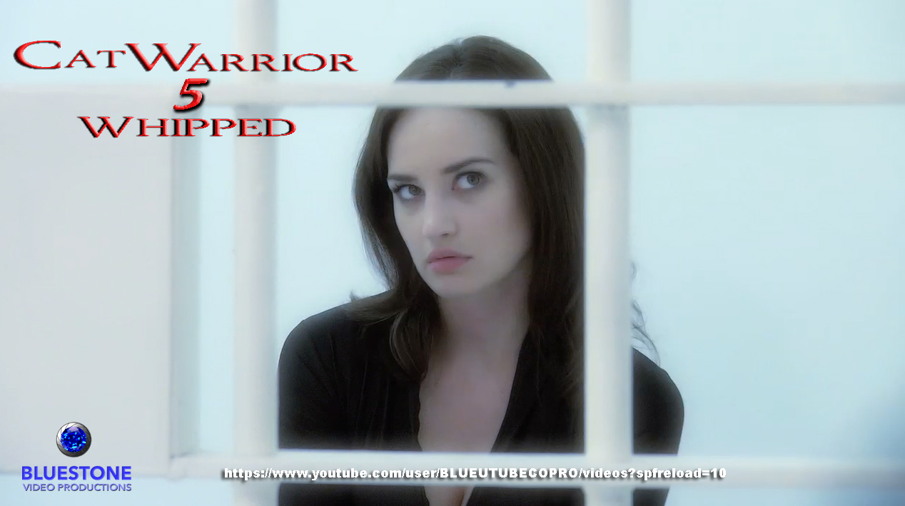 Catwarrior part 2 poster ad 7.jpg