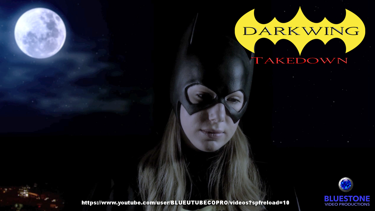 Darkwing Takedown still 4.jpg
