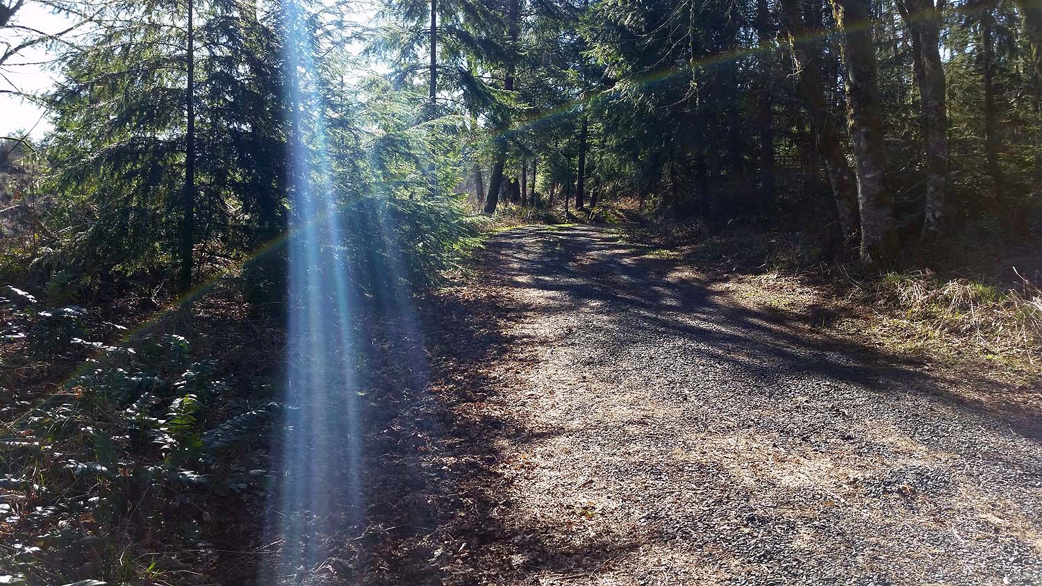 driveway_south.jpg