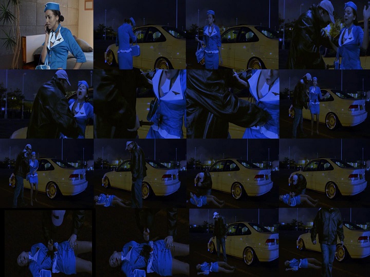 flight_attendant_murder_preview_sm.jpg