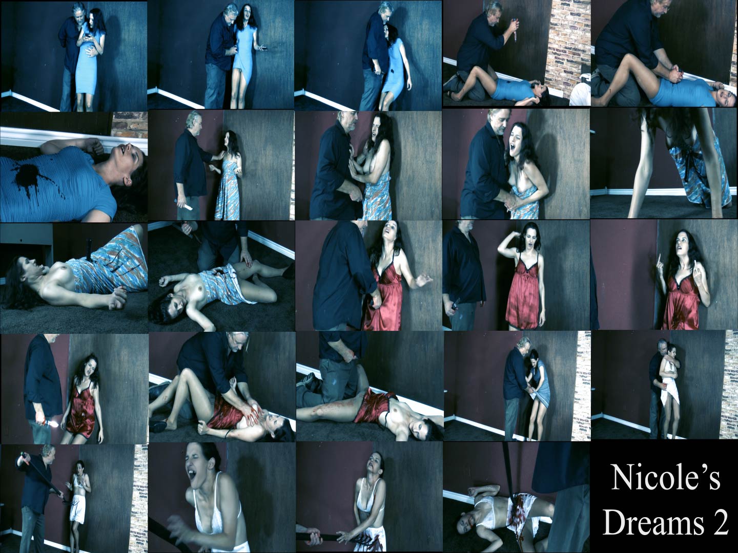 Nicoles Dreams 2_preview.jpg