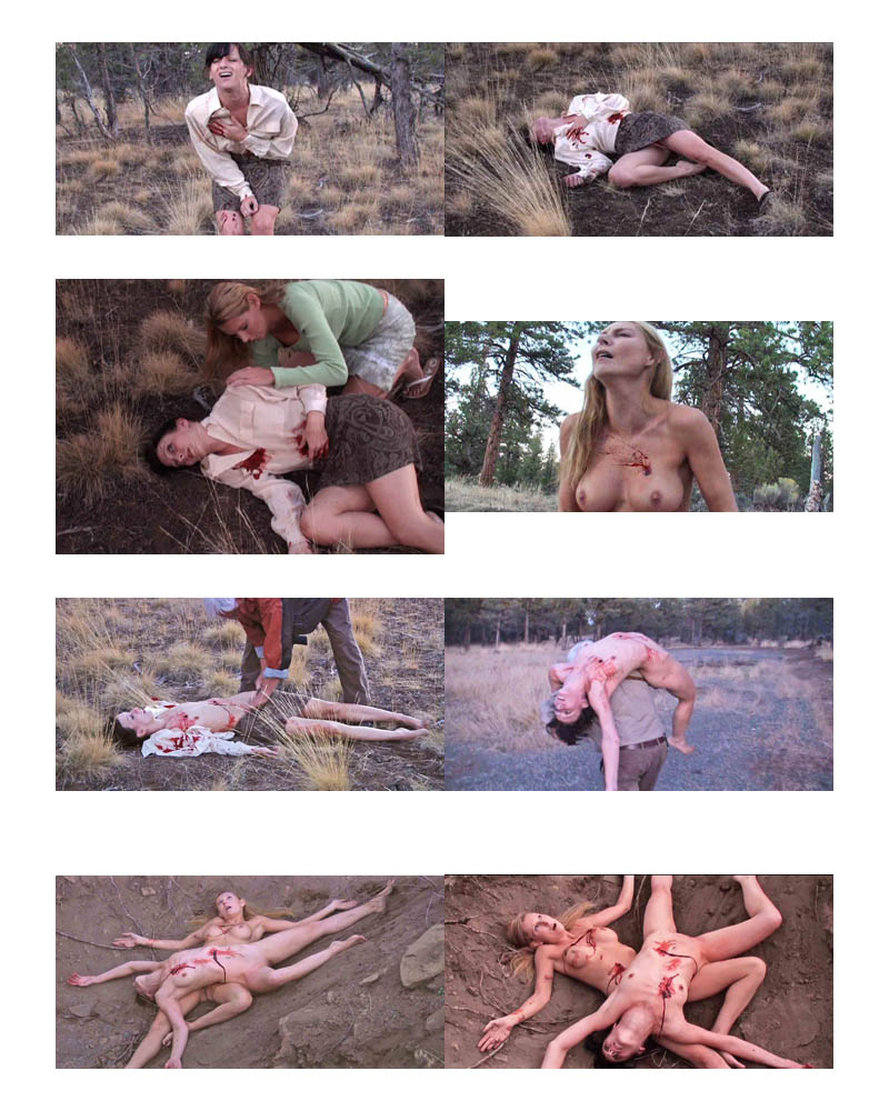 tlr_prev01.jpg