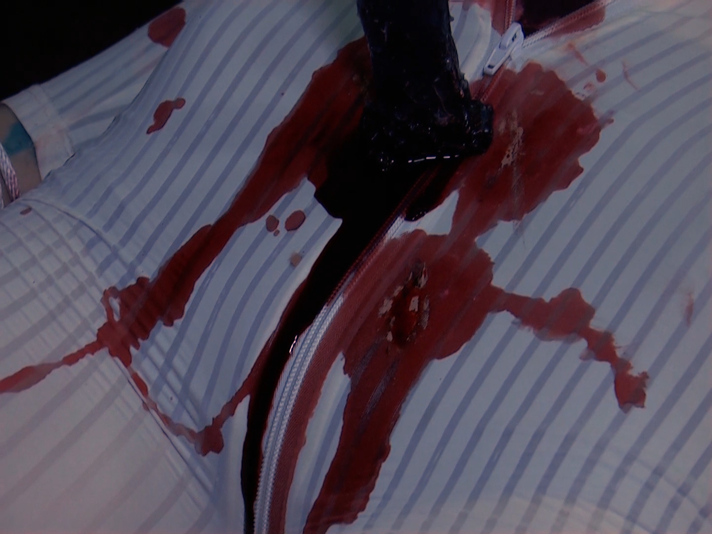spy_tortured_killed_vanessa_image.jpg