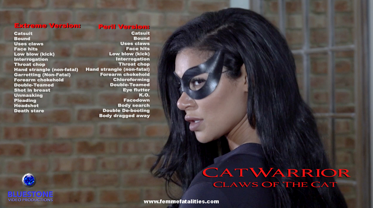Catwarrior 13 poster copy.jpg
