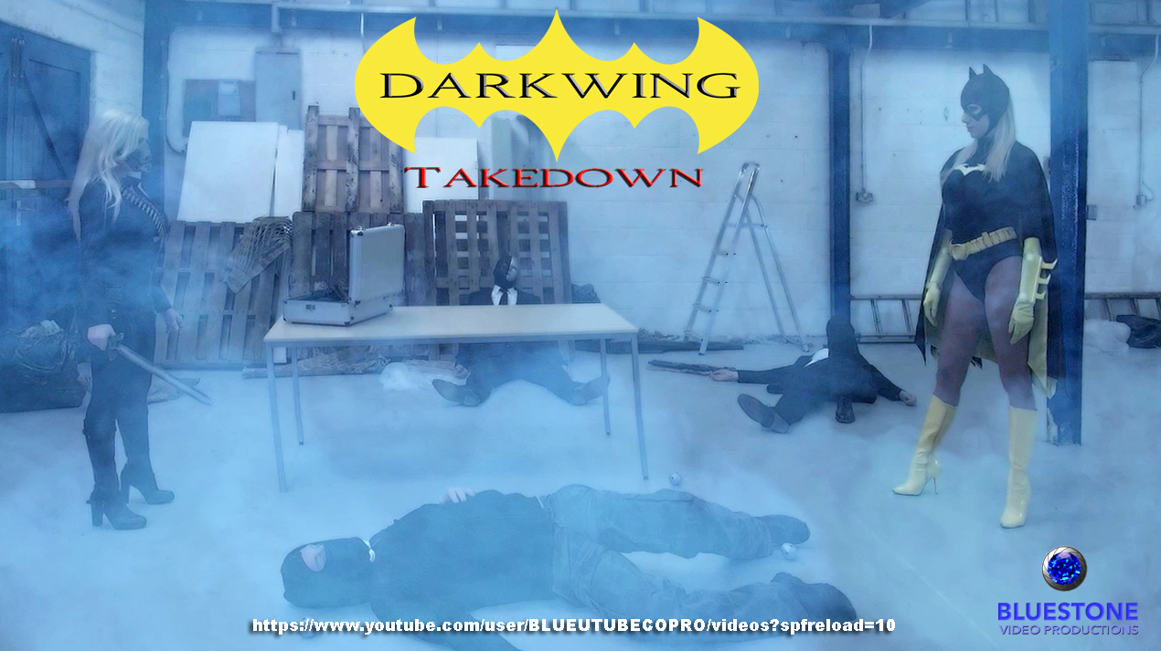 Darkwing Takedown still 8.jpg