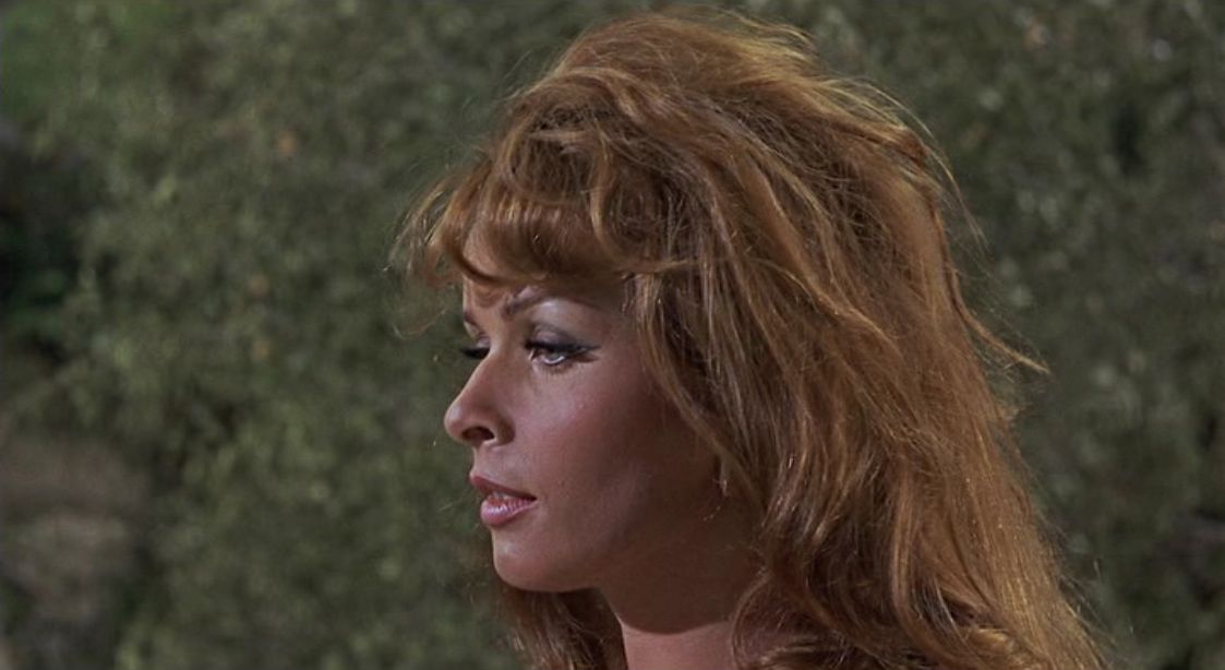 Senta Berger 3.jpg