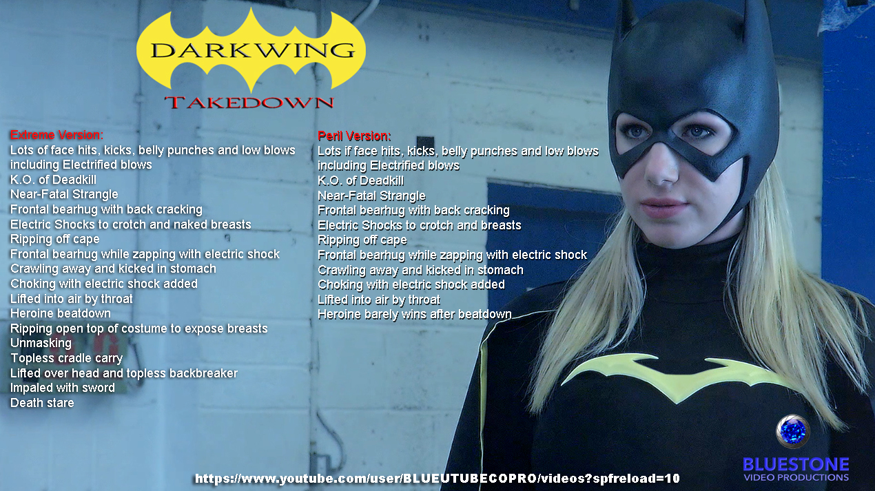Darkwing Takedown poster.jpg