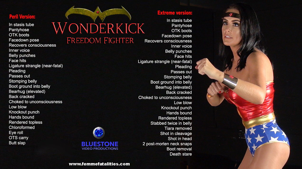 Wonderkick 3 Freedom Fighter poster.jpg